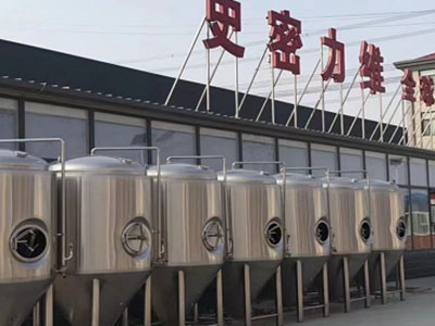 茂县精酿啤酒设备厂—市场规模与跨界新需求